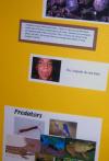 isopods-booth.jpg (419 views)